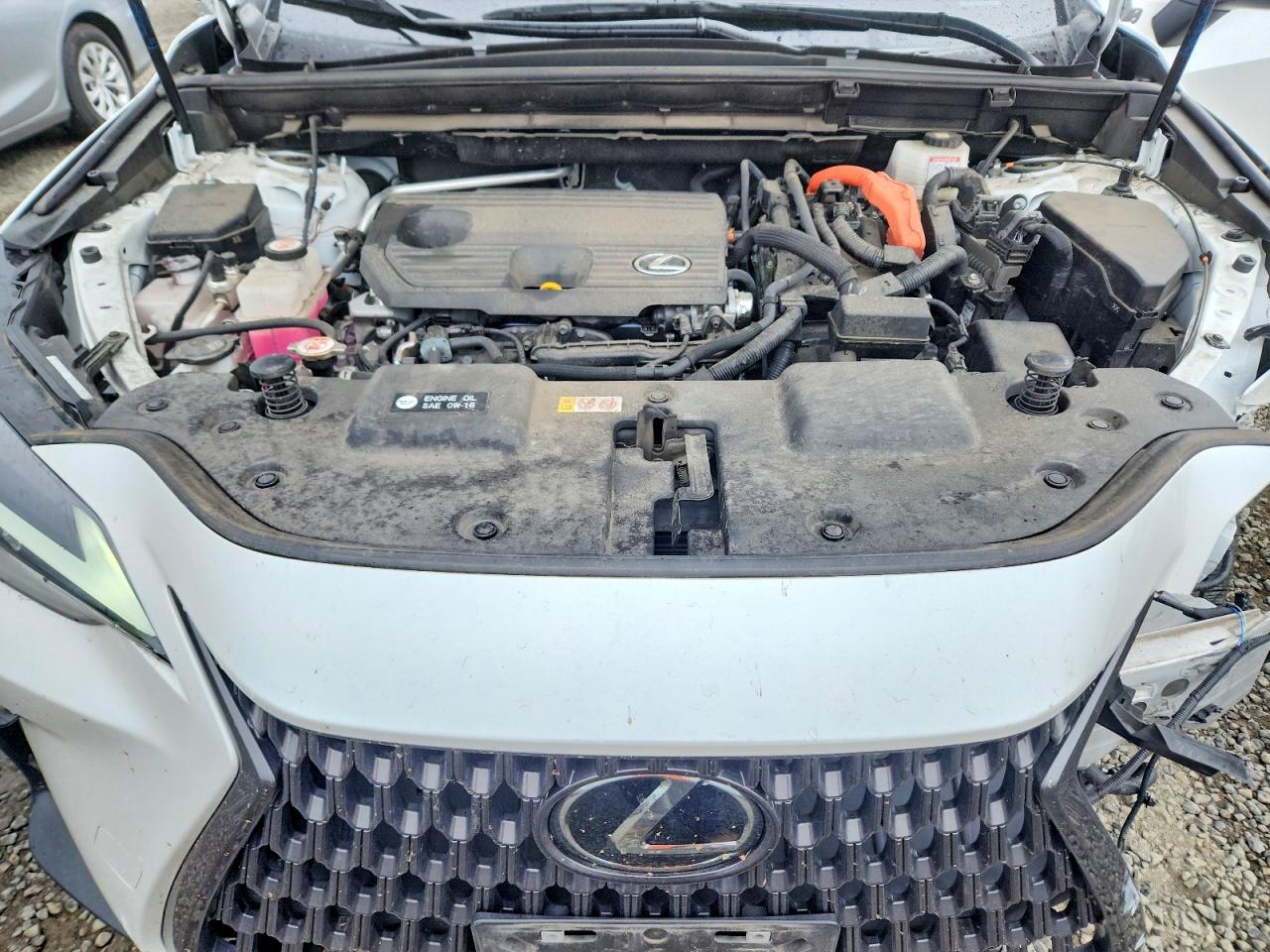 2023 LEXUS NX