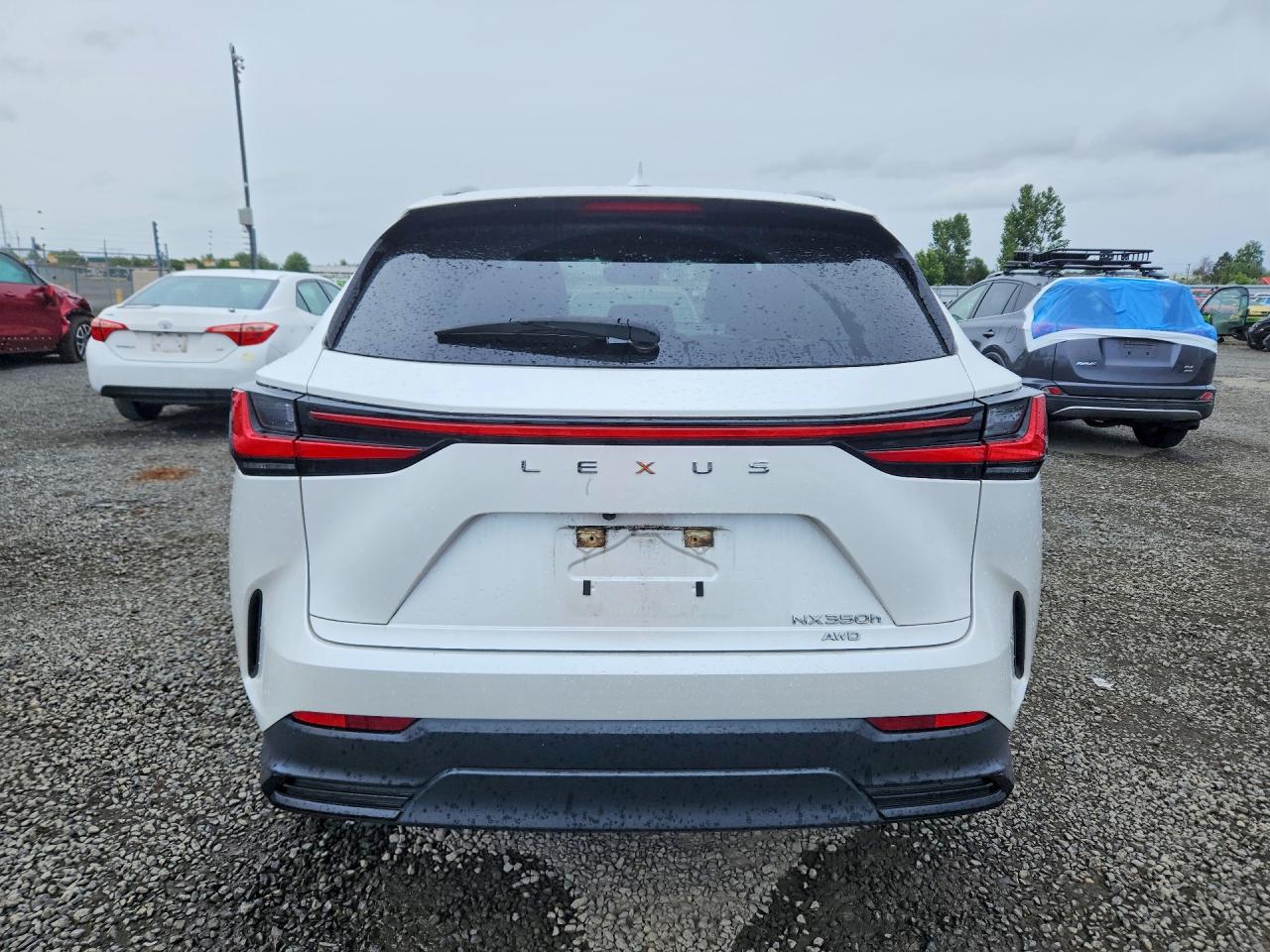 2023 LEXUS NX