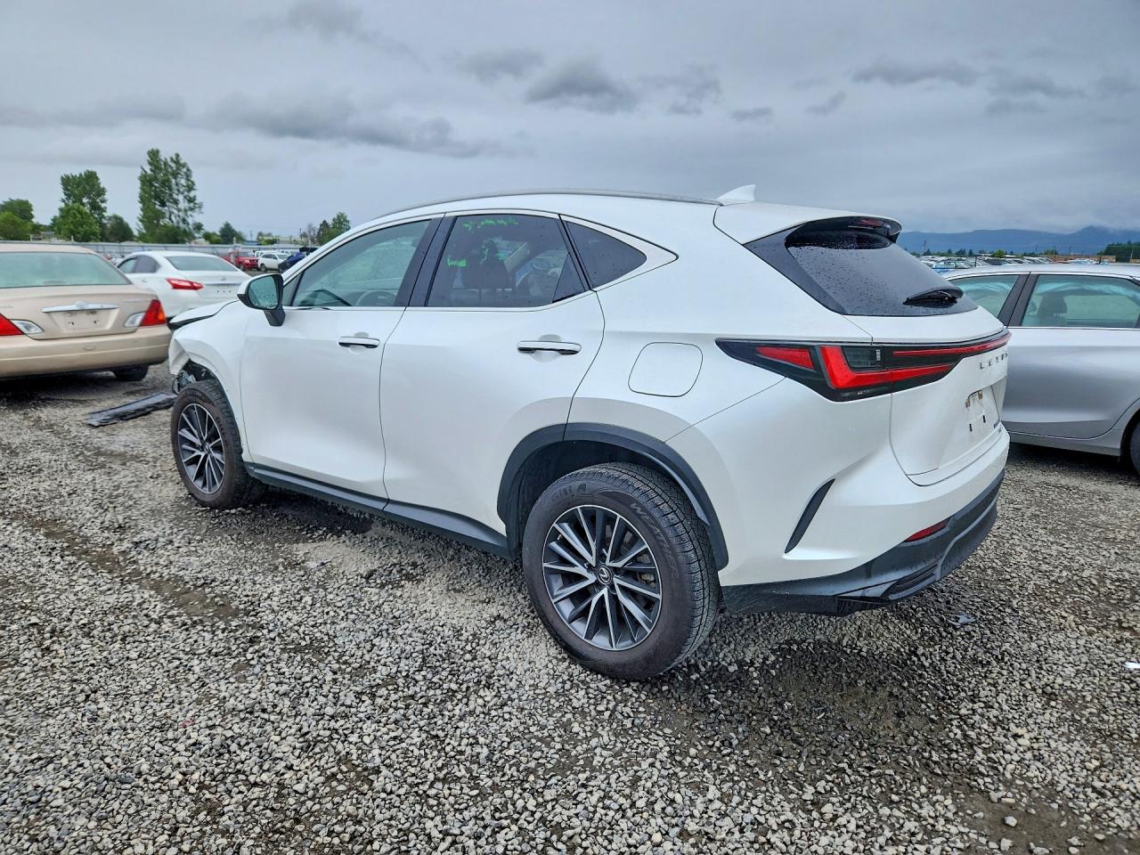 2023 LEXUS NX