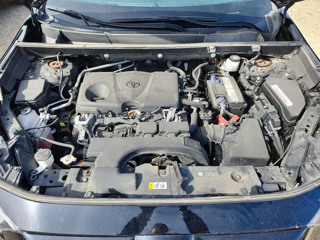 2019 TOYOTA RAV4