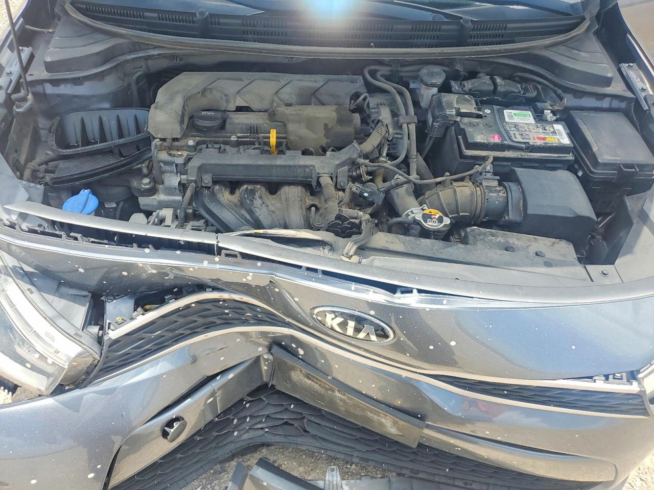 2020 KIA RIO