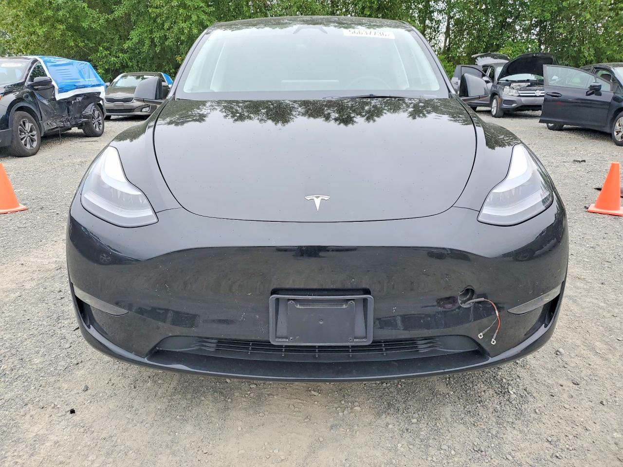 2025 TESLA MODEL Y
