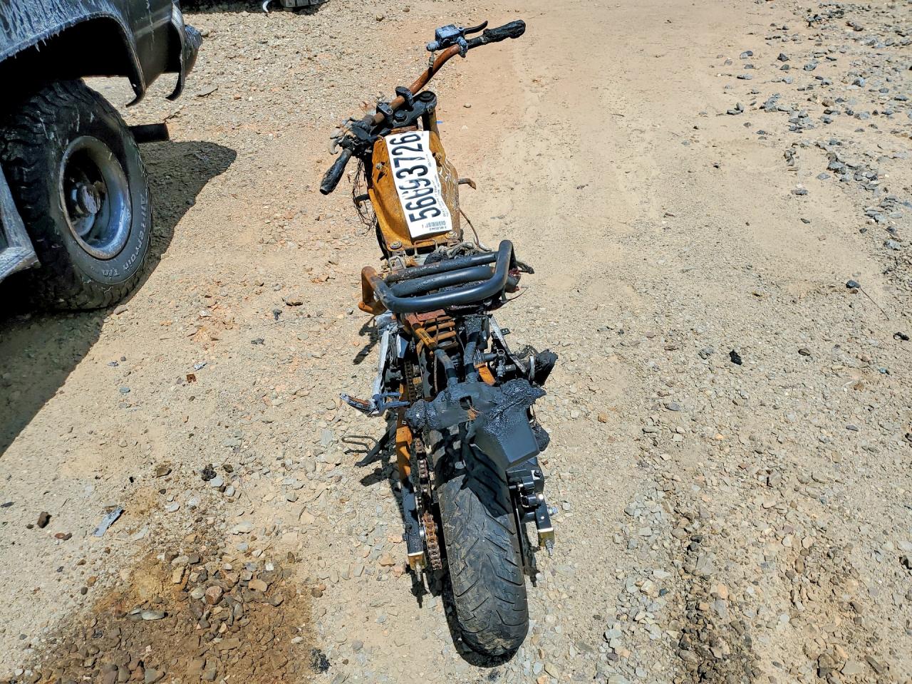 2025 AMERICAN EAGLE 2025 Baodi