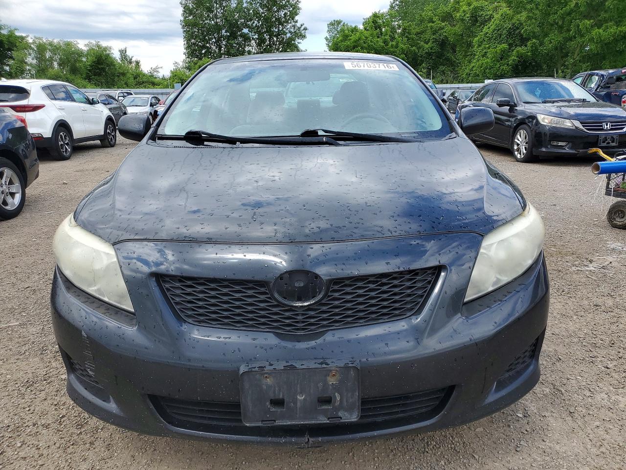 2010 TOYOTA COROLLA