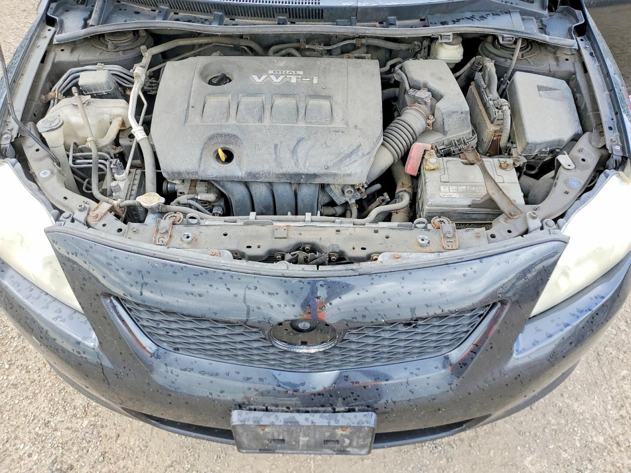 2010 TOYOTA COROLLA