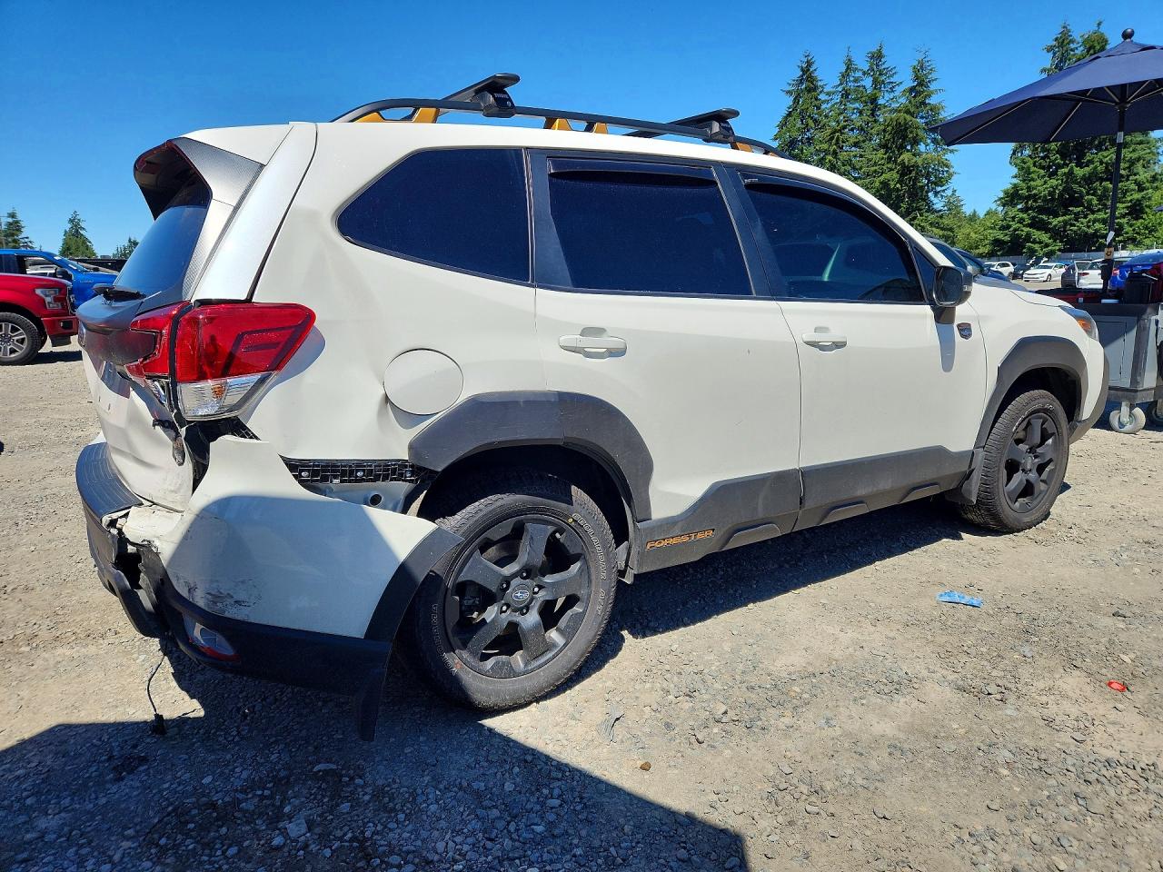 2023 SUBARU FORESTER