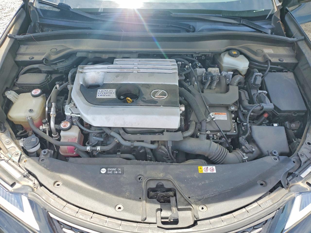 2019 LEXUS ALL OTHER