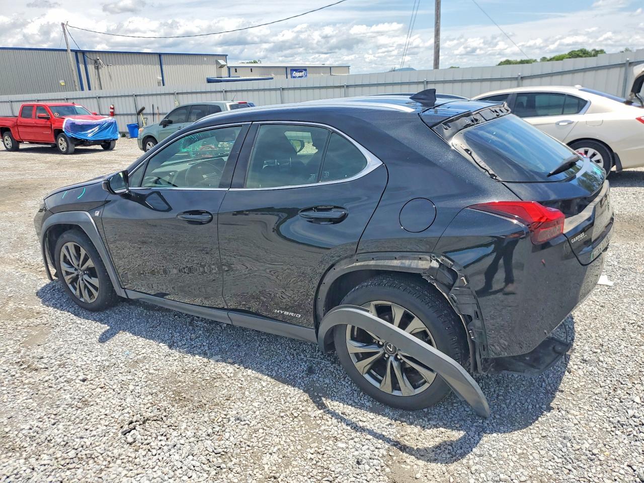 2019 LEXUS ALL OTHER