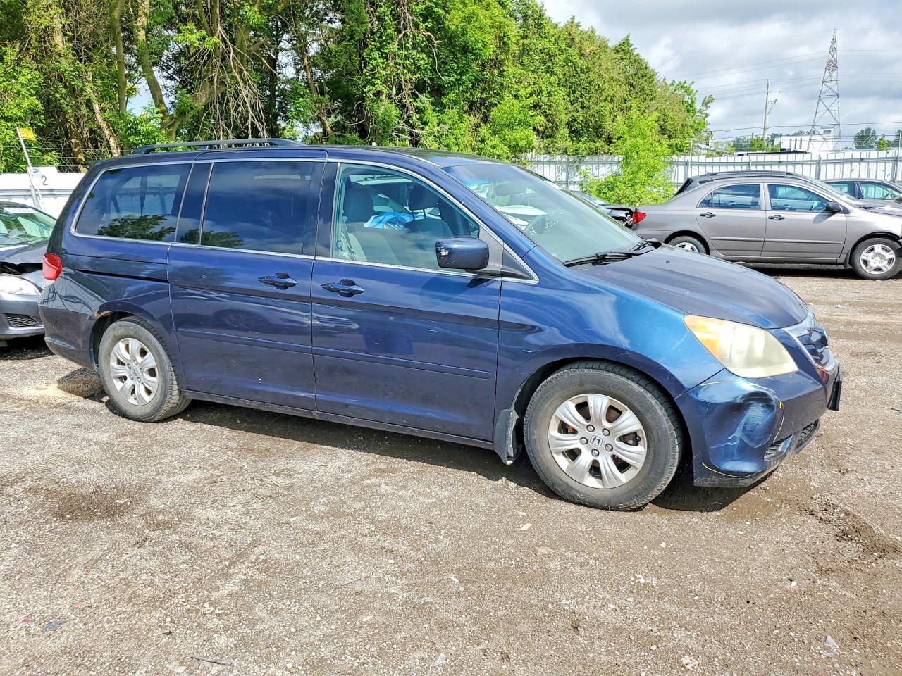 2010 HONDA All Models