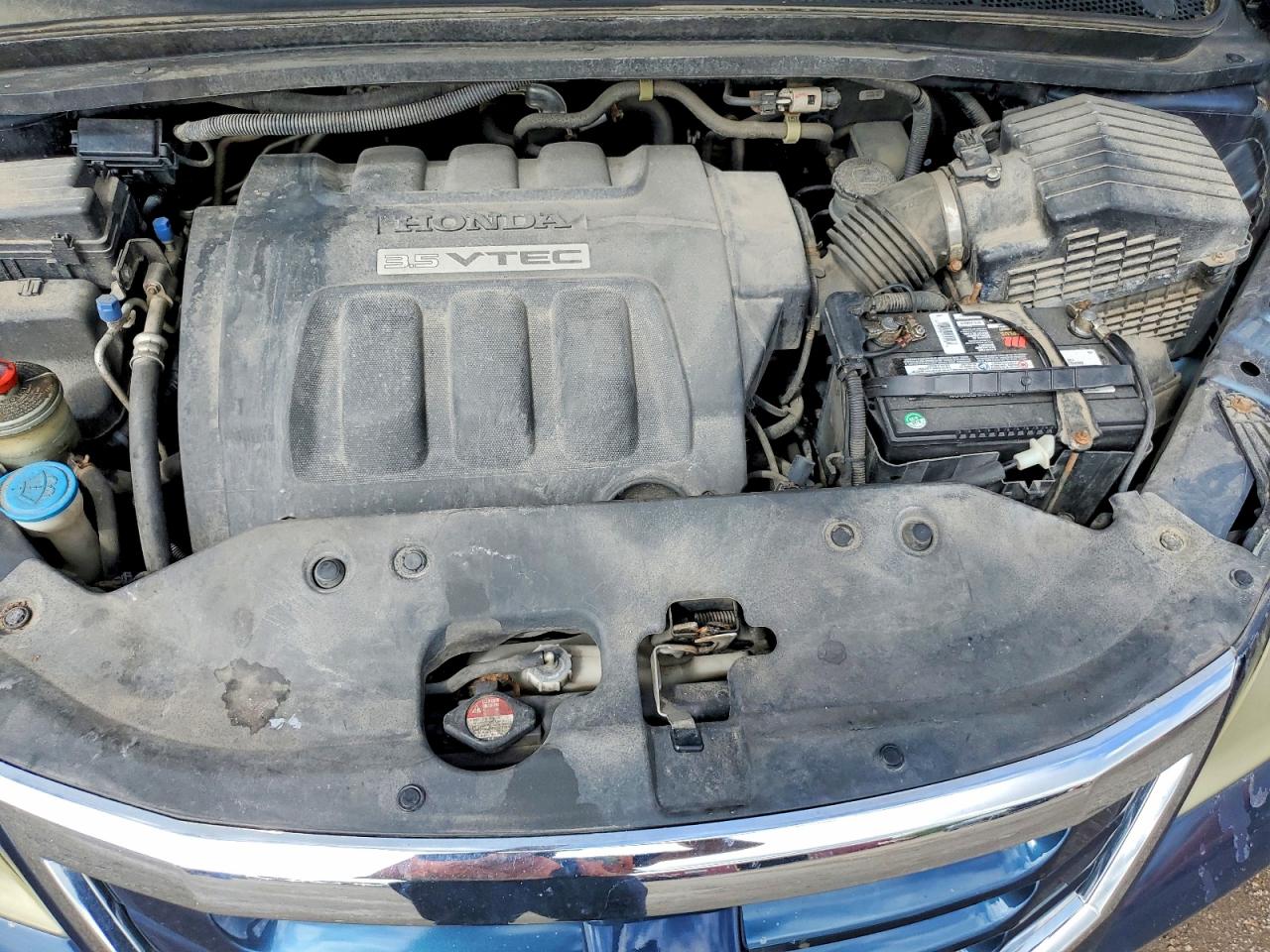 2010 HONDA All Models