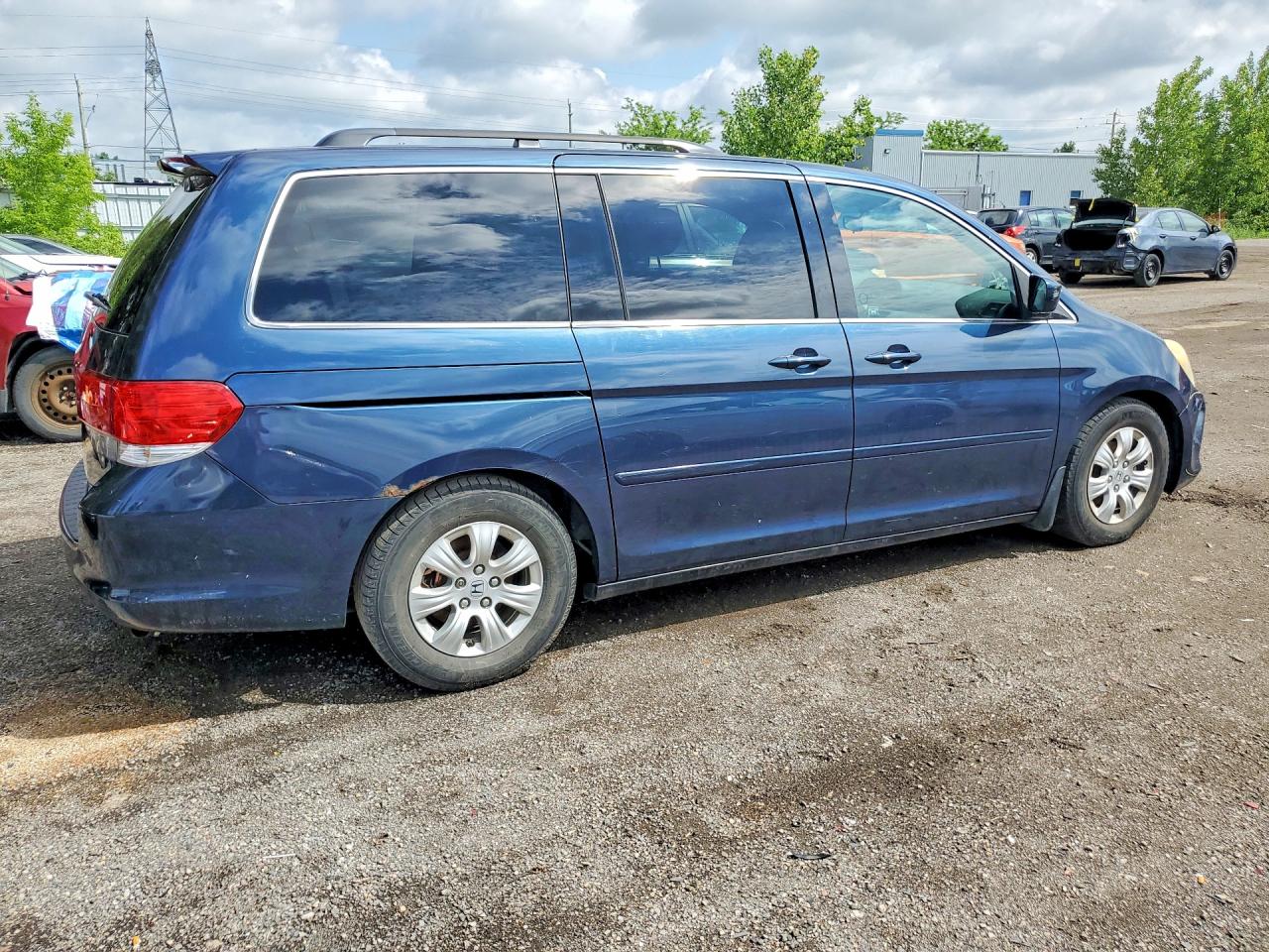 2010 HONDA All Models