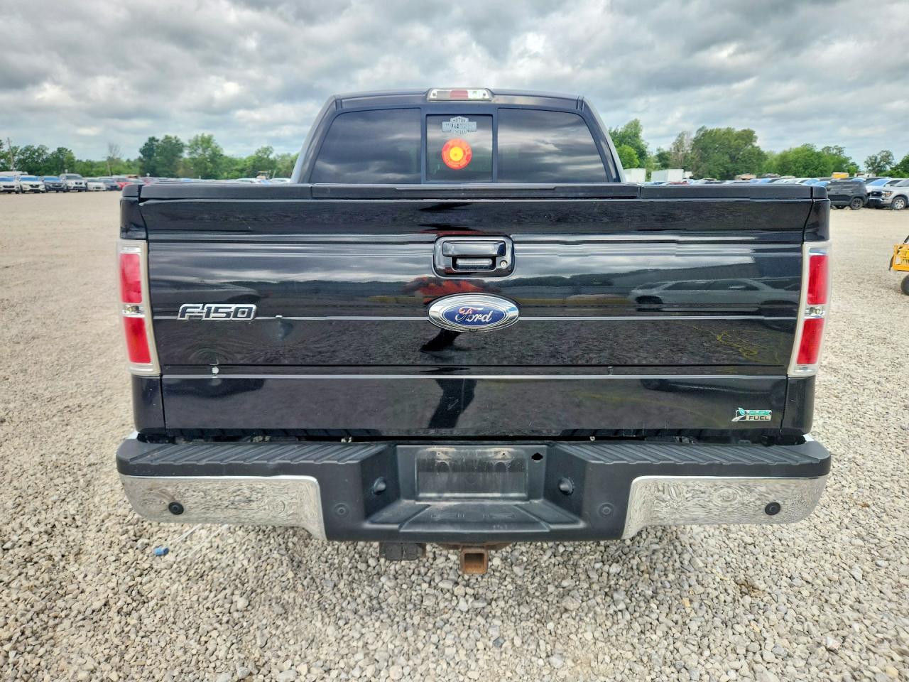 2010 FORD F150