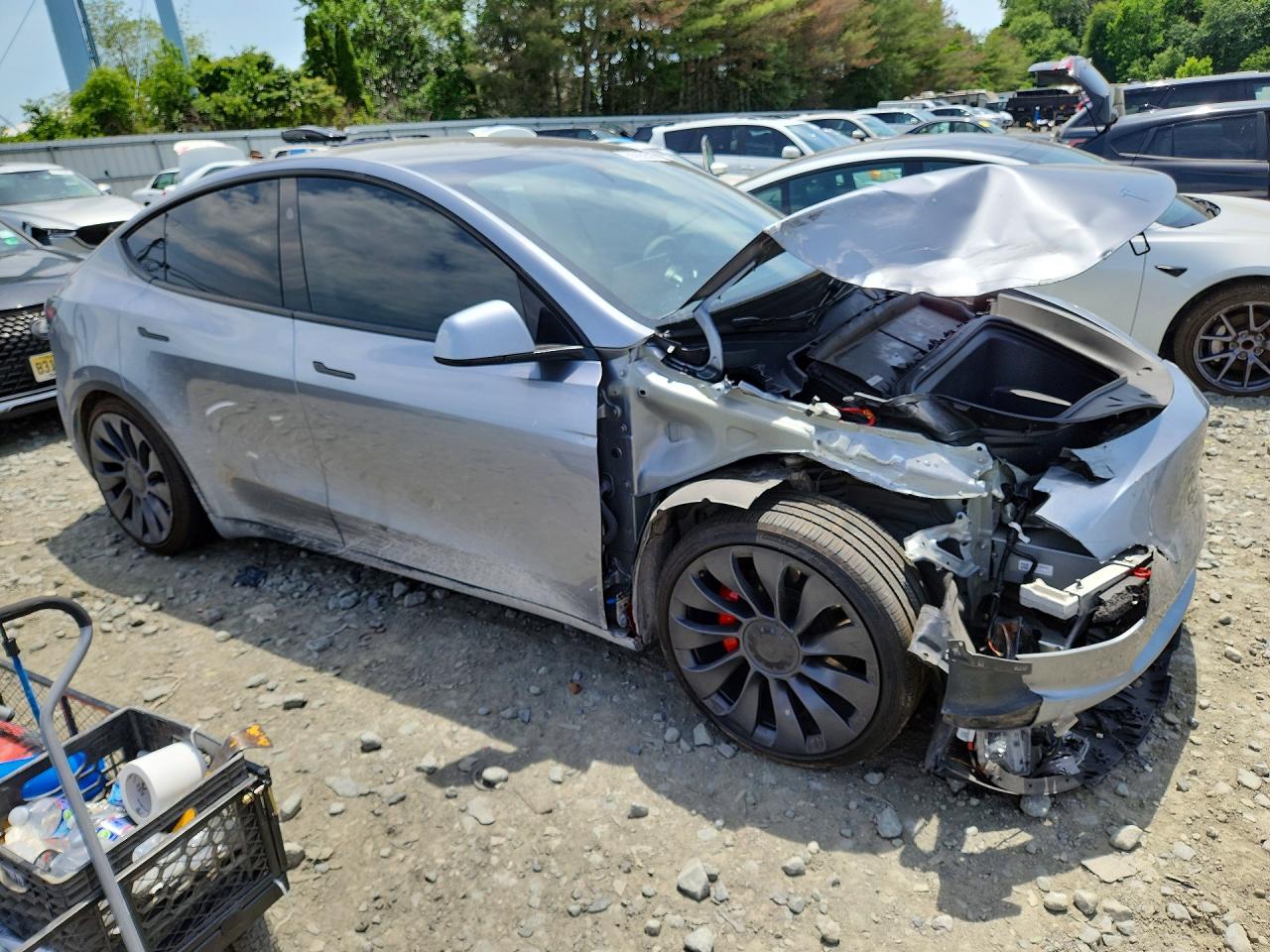 2024 TESLA MODEL Y