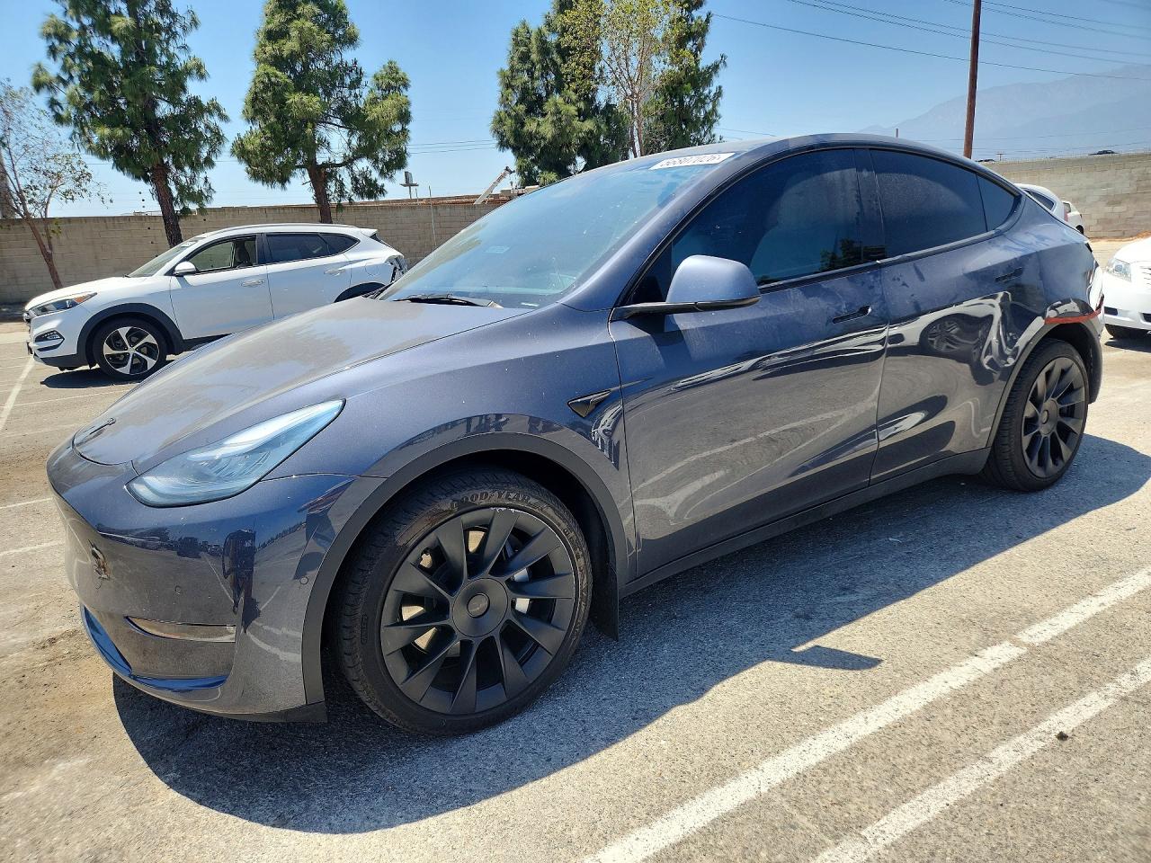 2021 TESLA MODEL Y