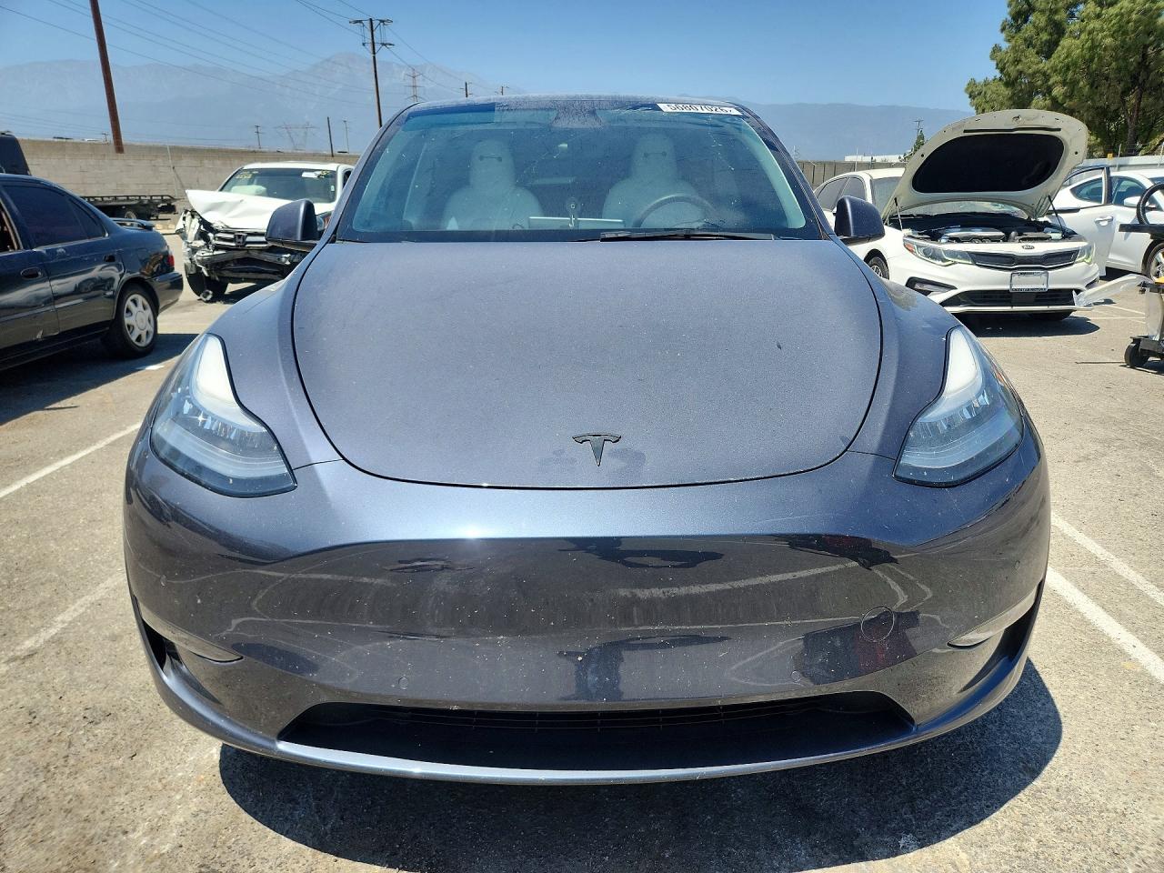 2021 TESLA MODEL Y