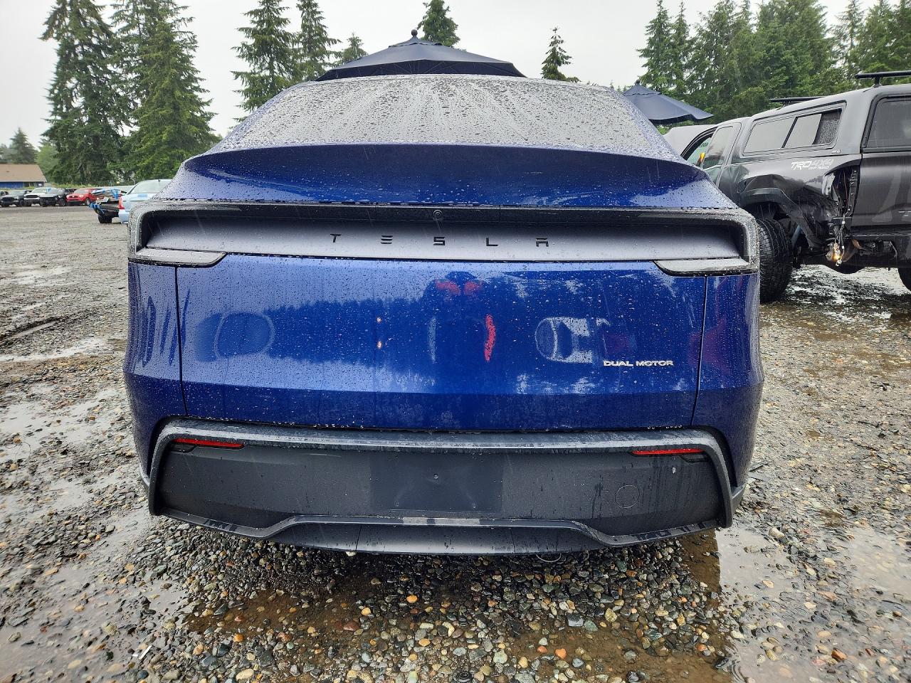 2026 TESLA MODEL Y
