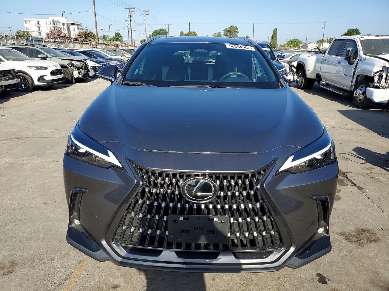 2024 LEXUS NX