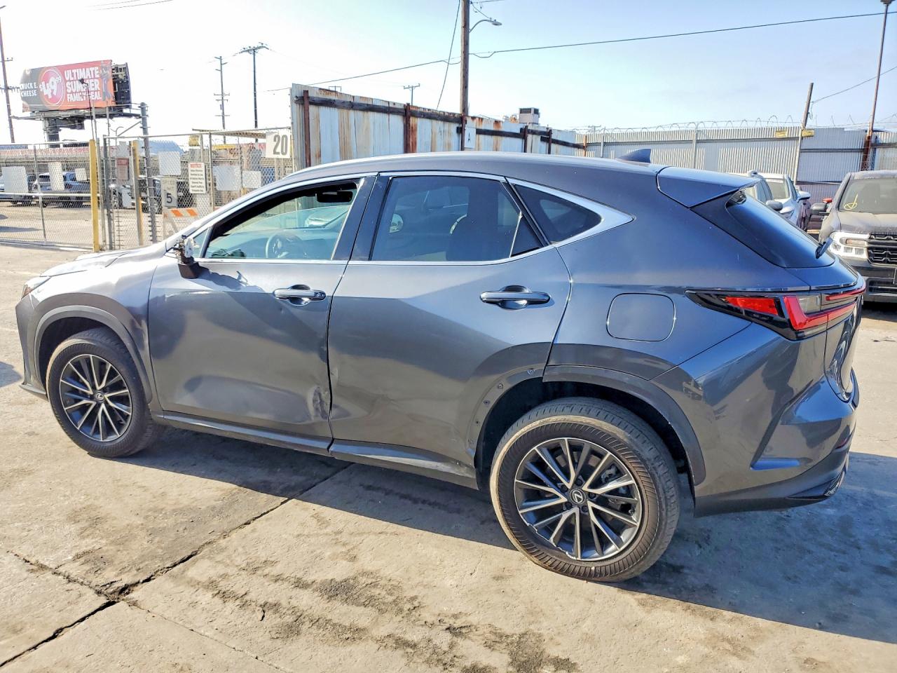 2024 LEXUS NX