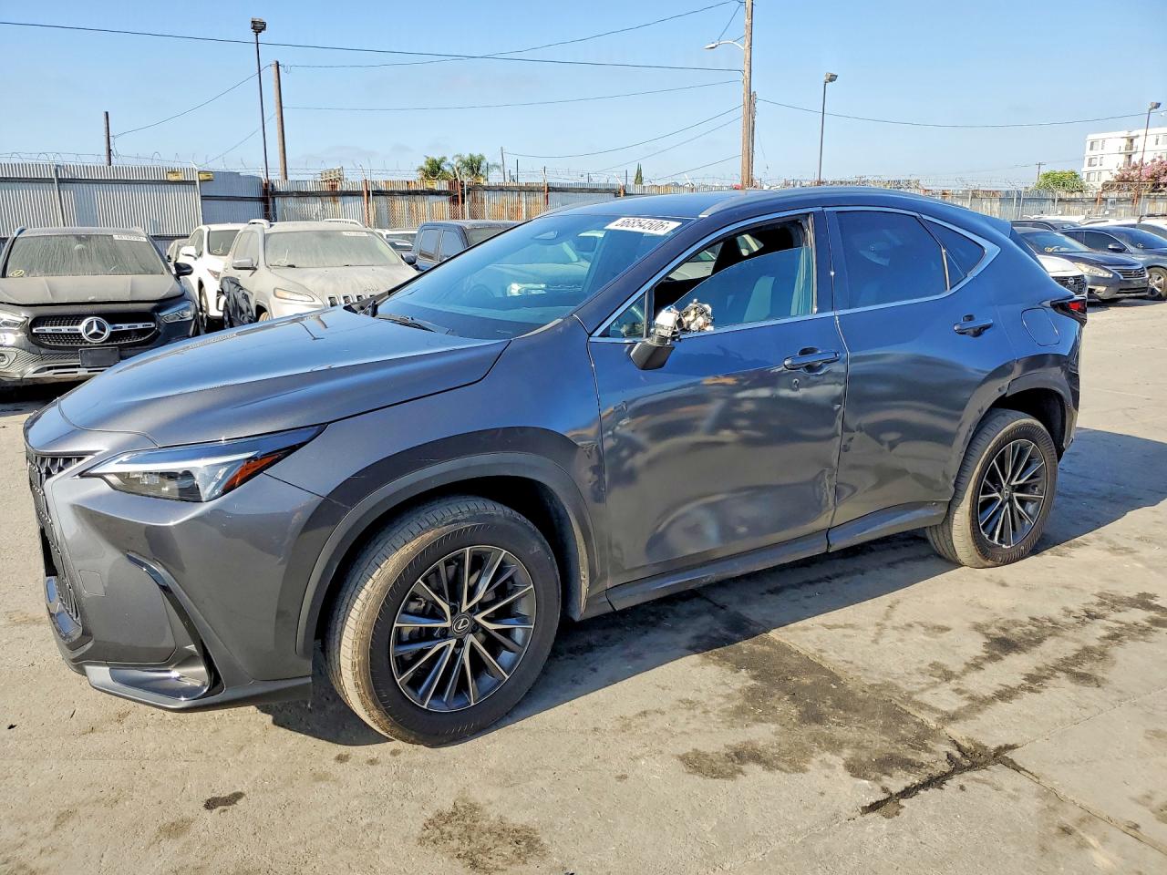 2024 LEXUS NX