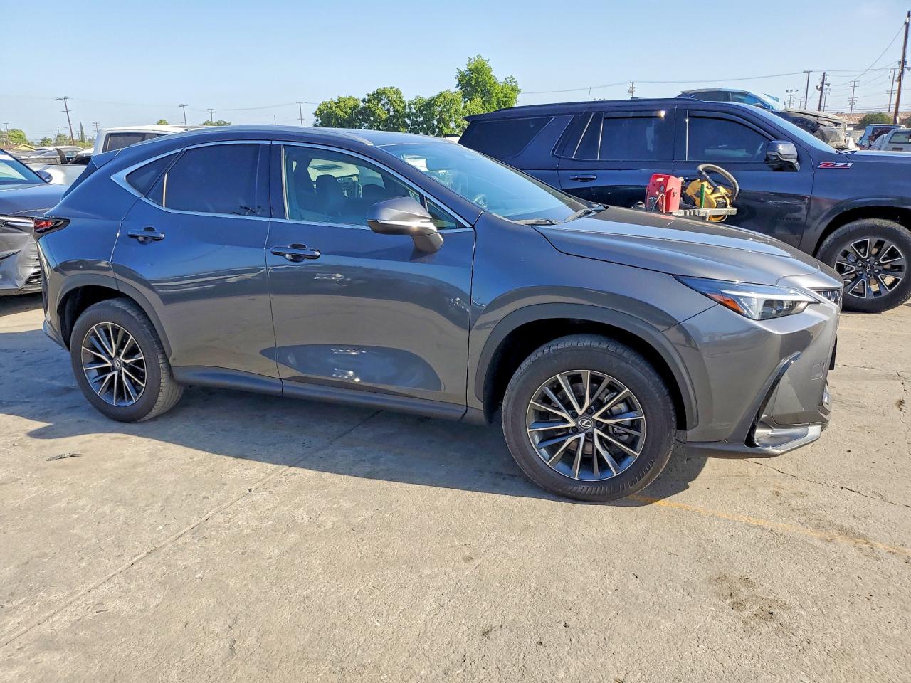 2024 LEXUS NX
