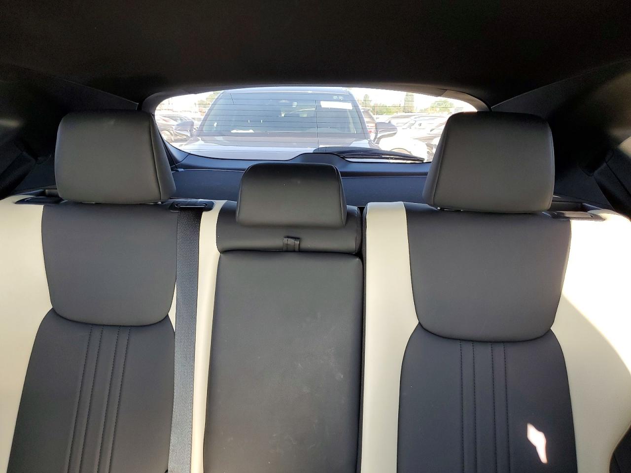 2024 LEXUS NX