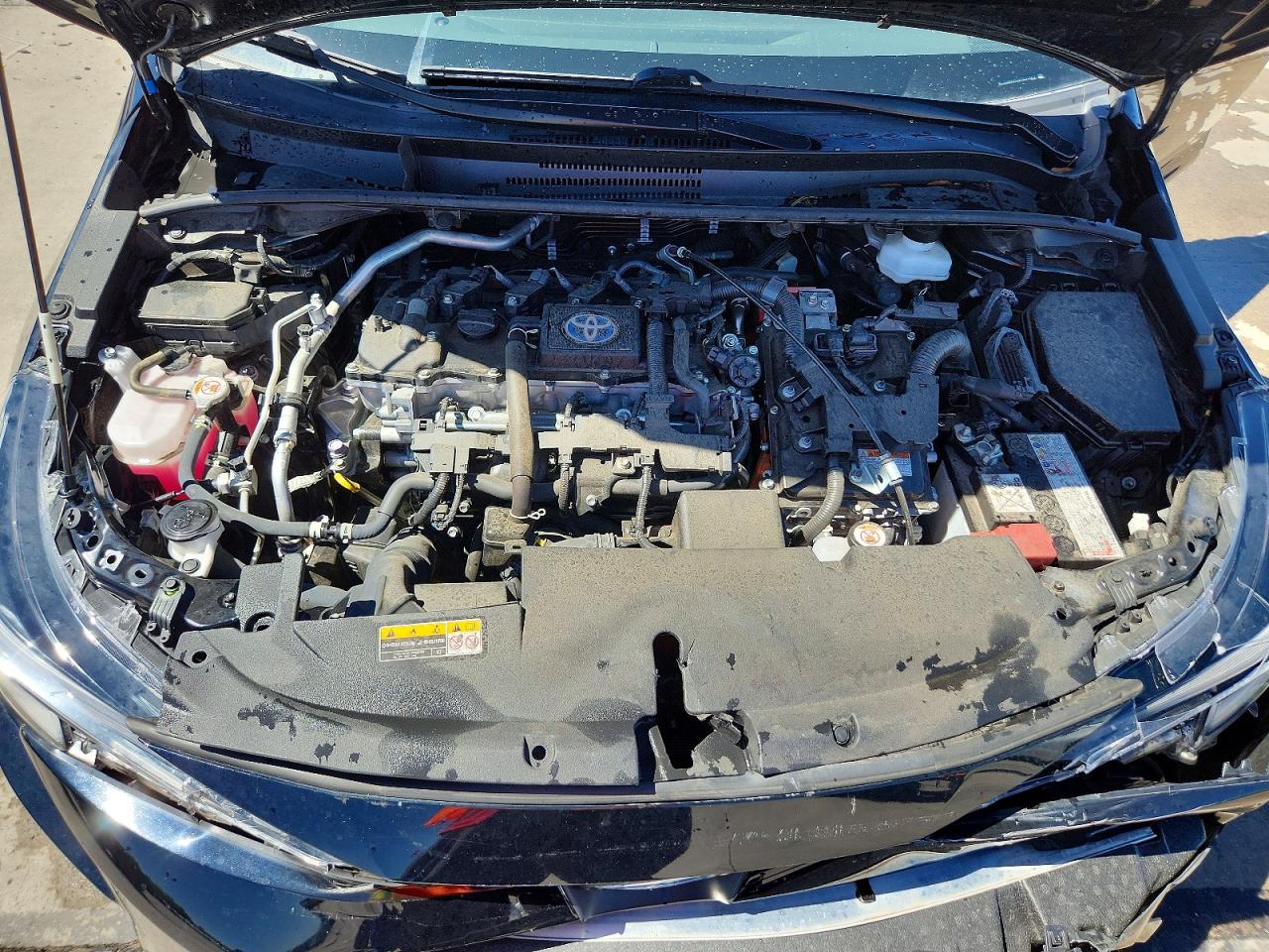 2023 TOYOTA COROLLA