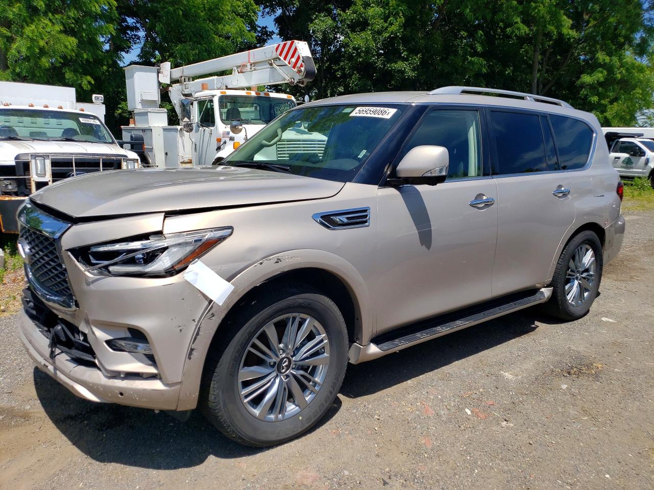 2023 INFINITI QX80