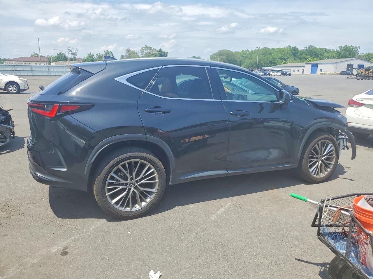 2022 LEXUS NX