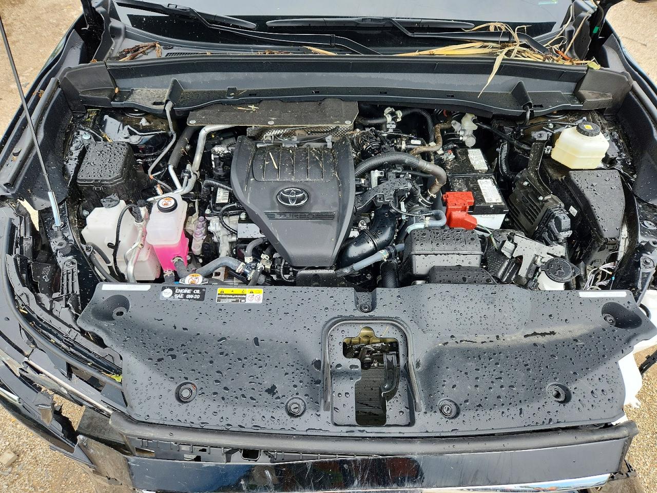 2026 TOYOTA ALL OTHER