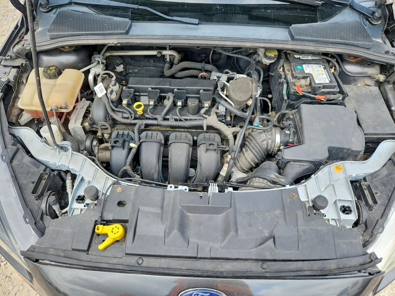 2016 FORD FOCUS