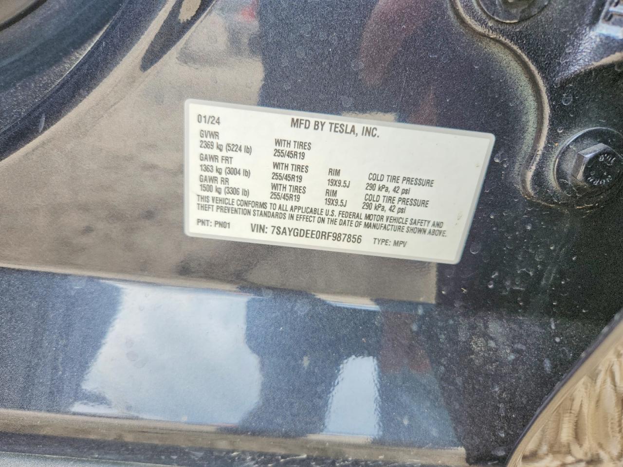 2024 TESLA MODEL Y