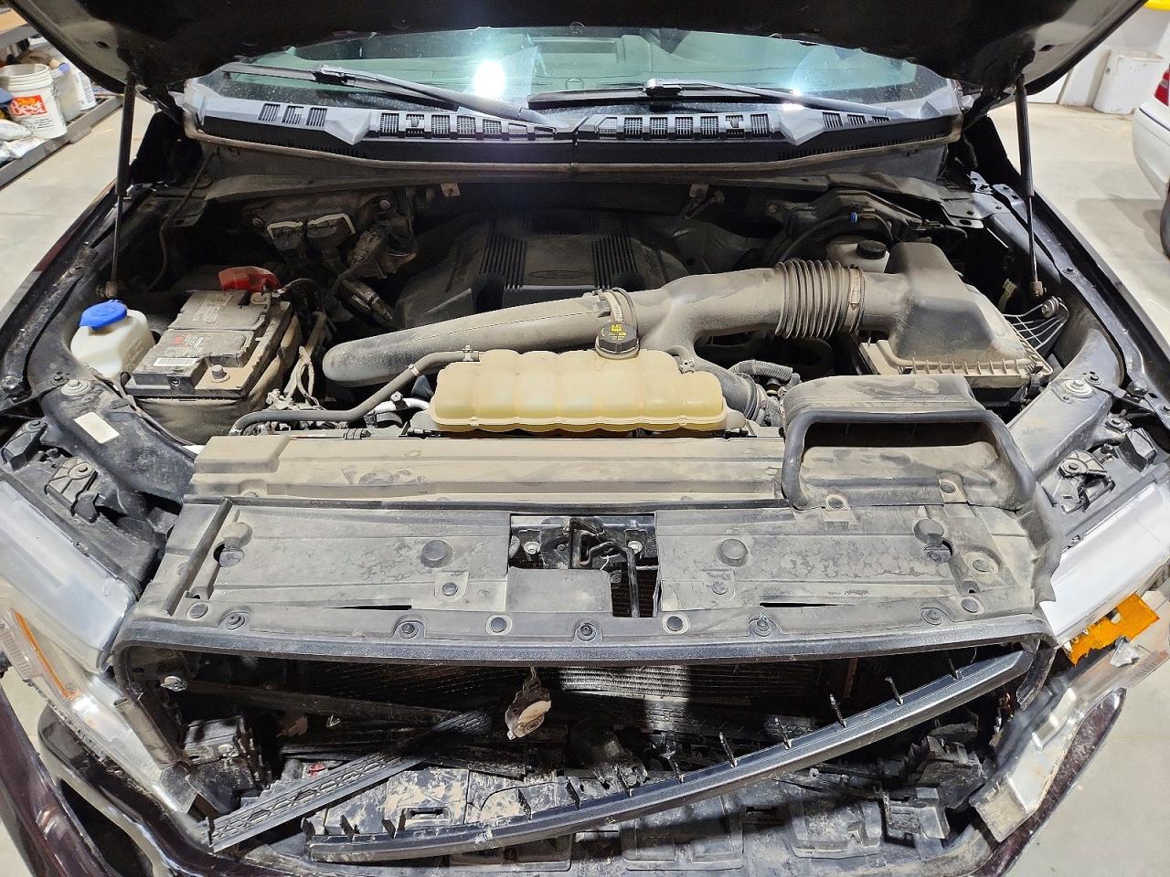 2019 FORD F150
