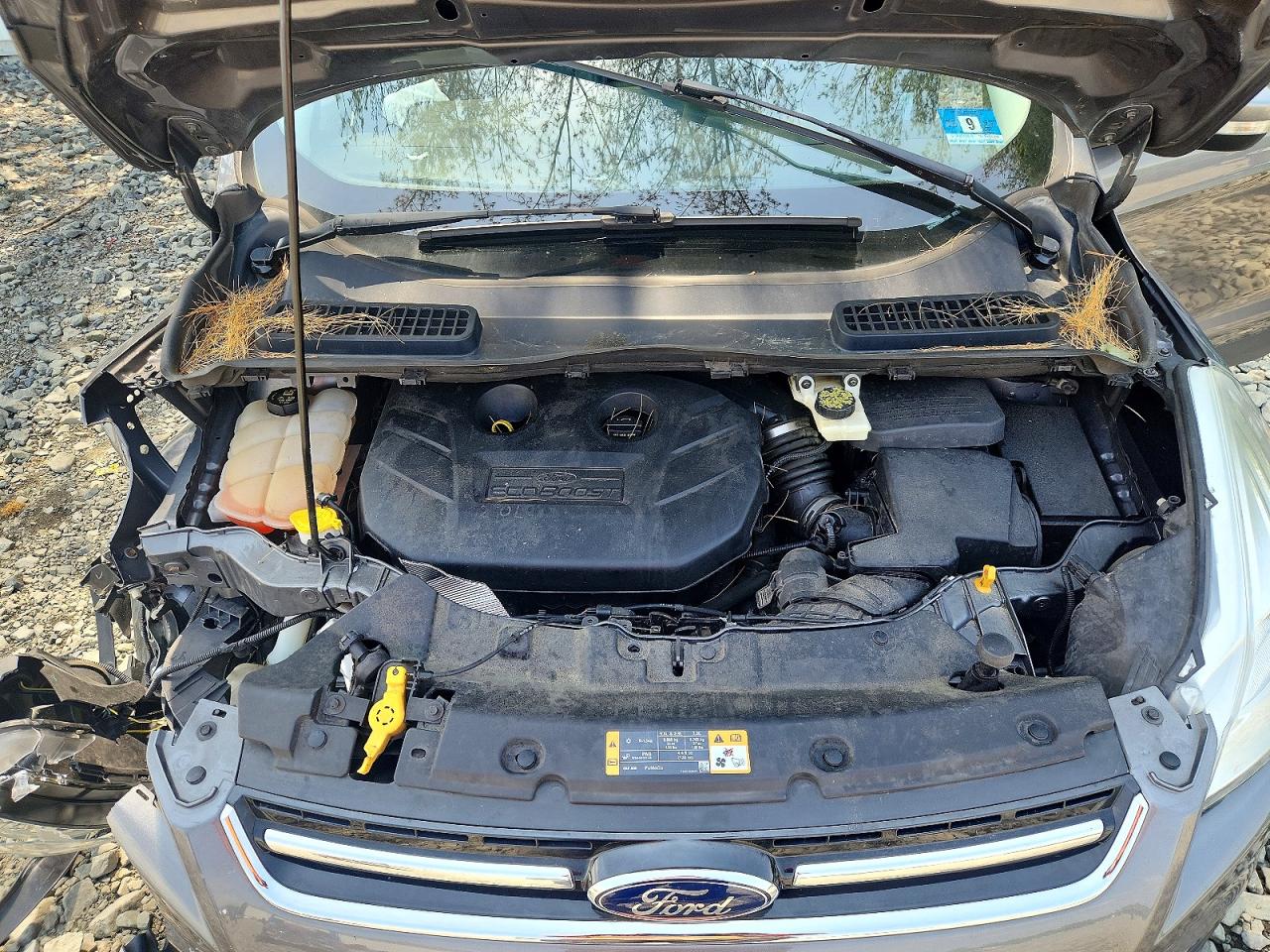 2014 FORD ESCAPE