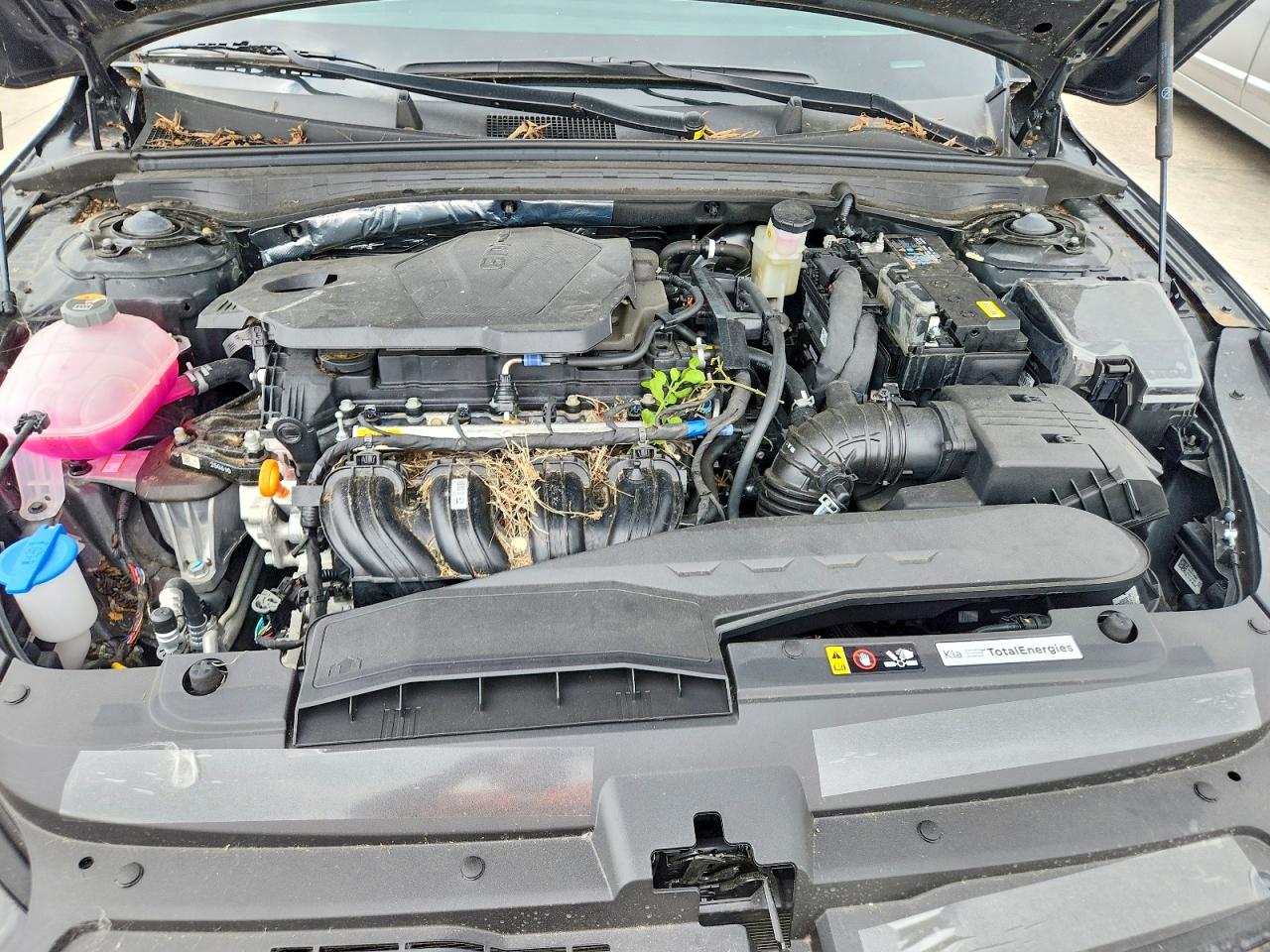2026 KIA K5