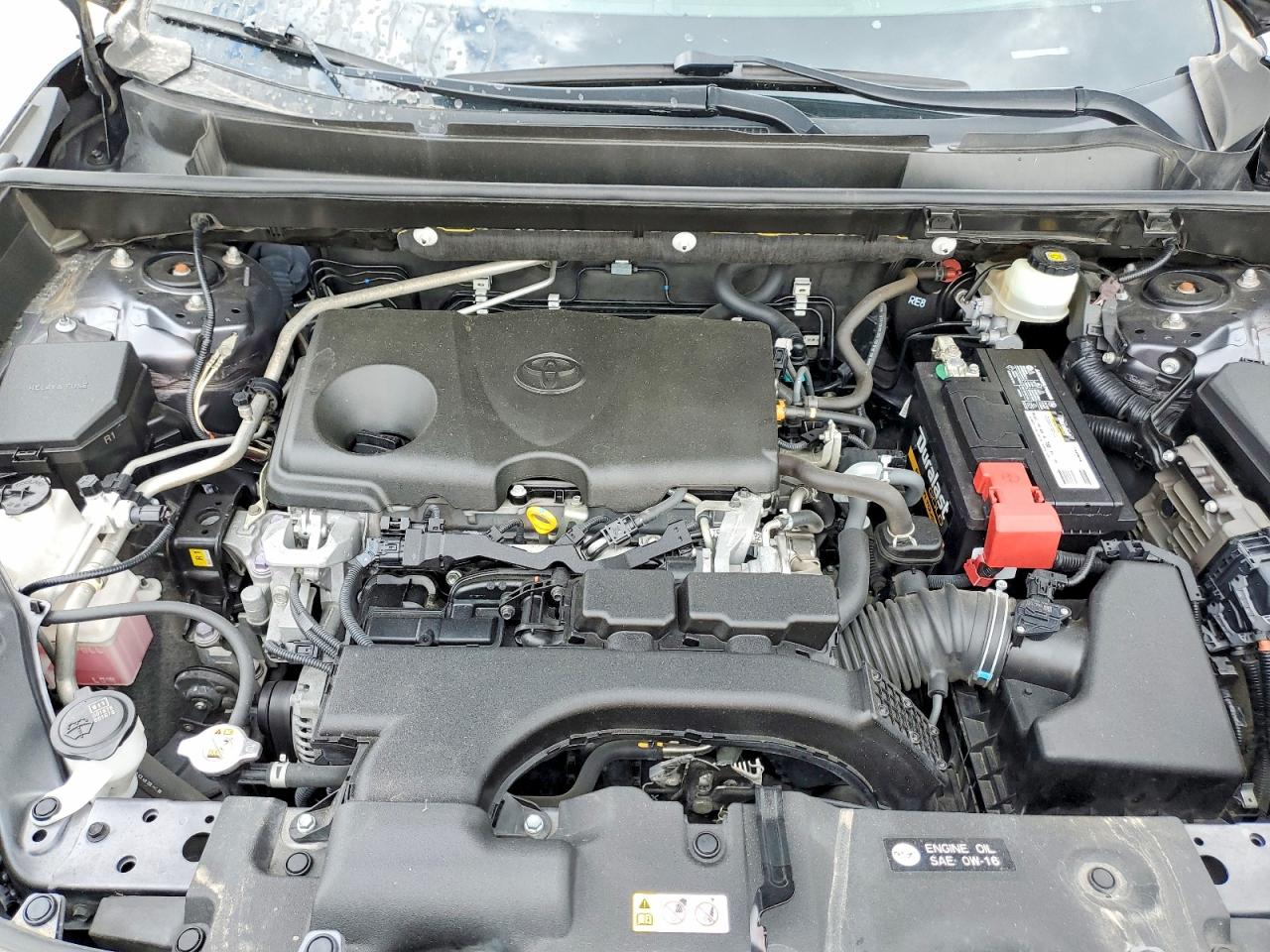 2019 TOYOTA RAV4