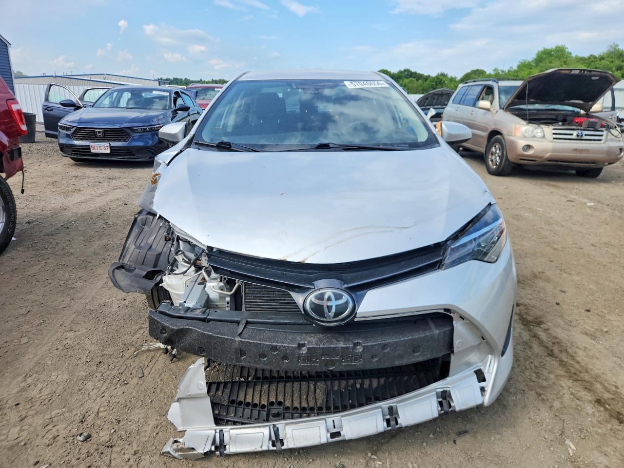 2019 TOYOTA COROLLA
