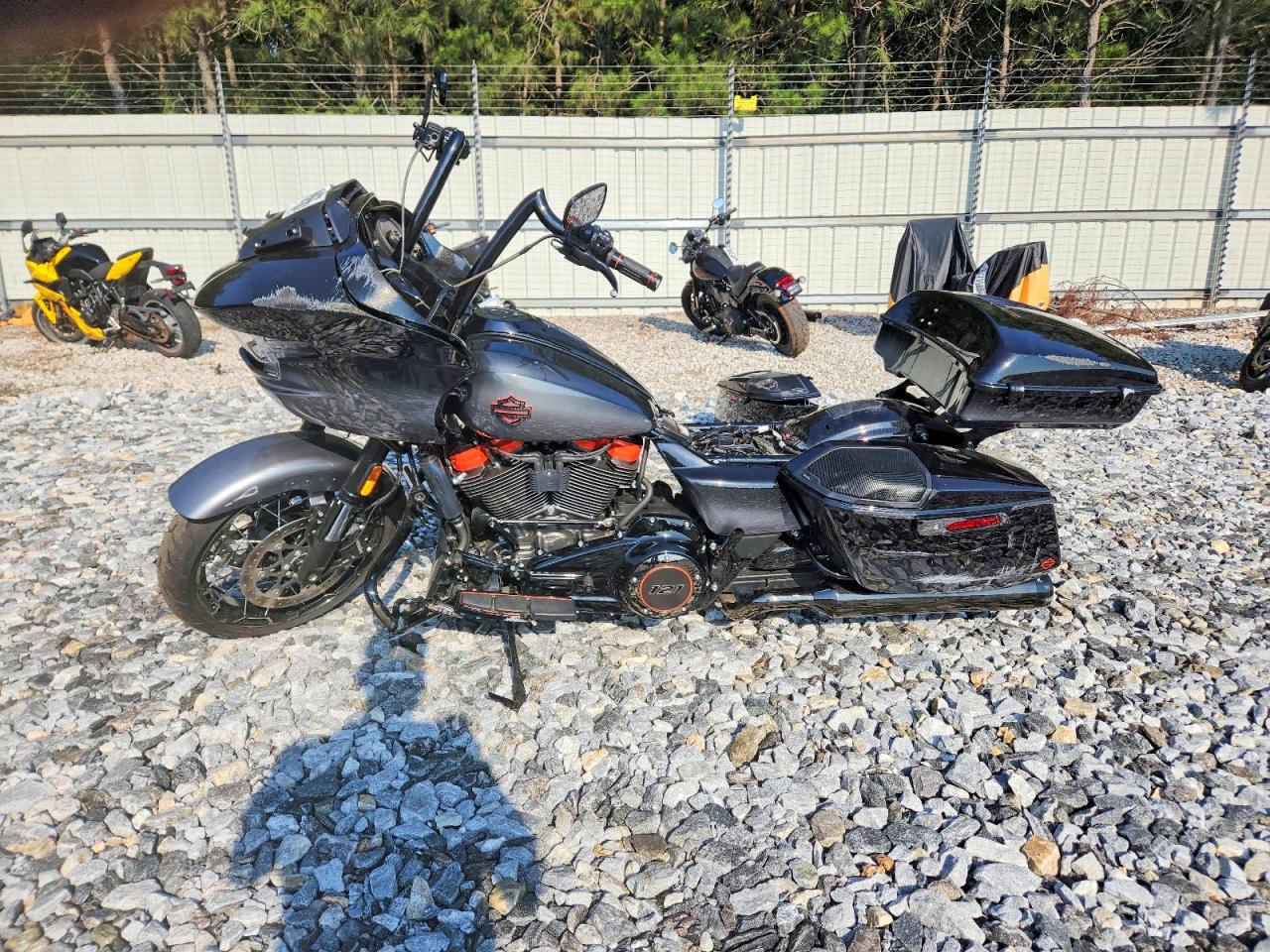2025 HARLEY-DAVIDSON FLSE