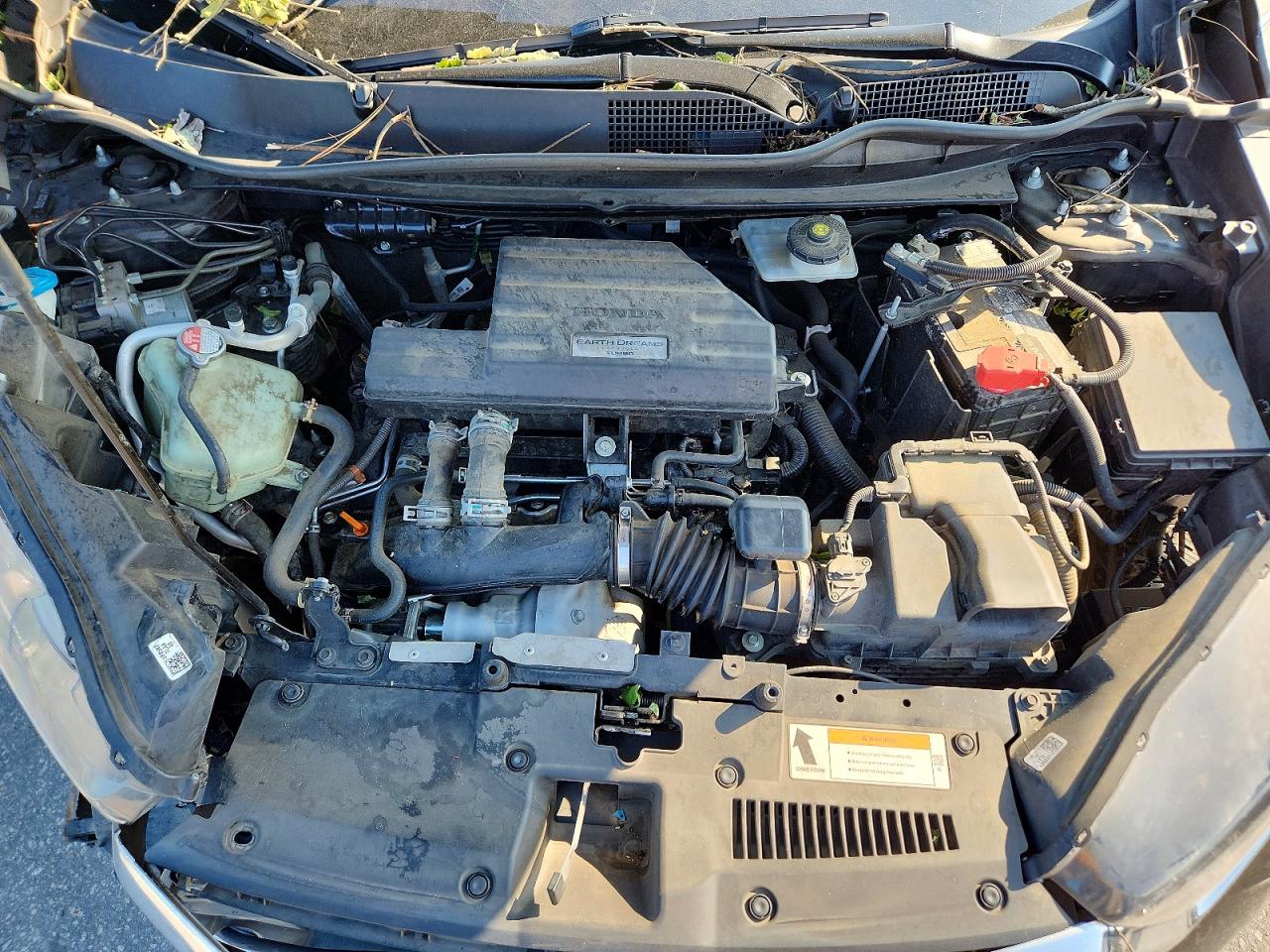 2019 HONDA CRV