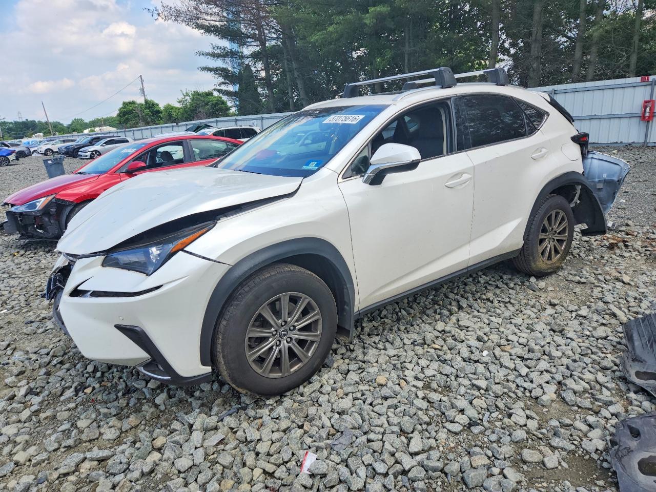 2019 LEXUS NX