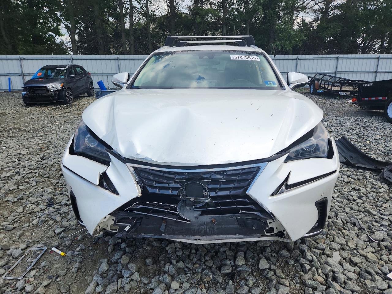 2019 LEXUS NX