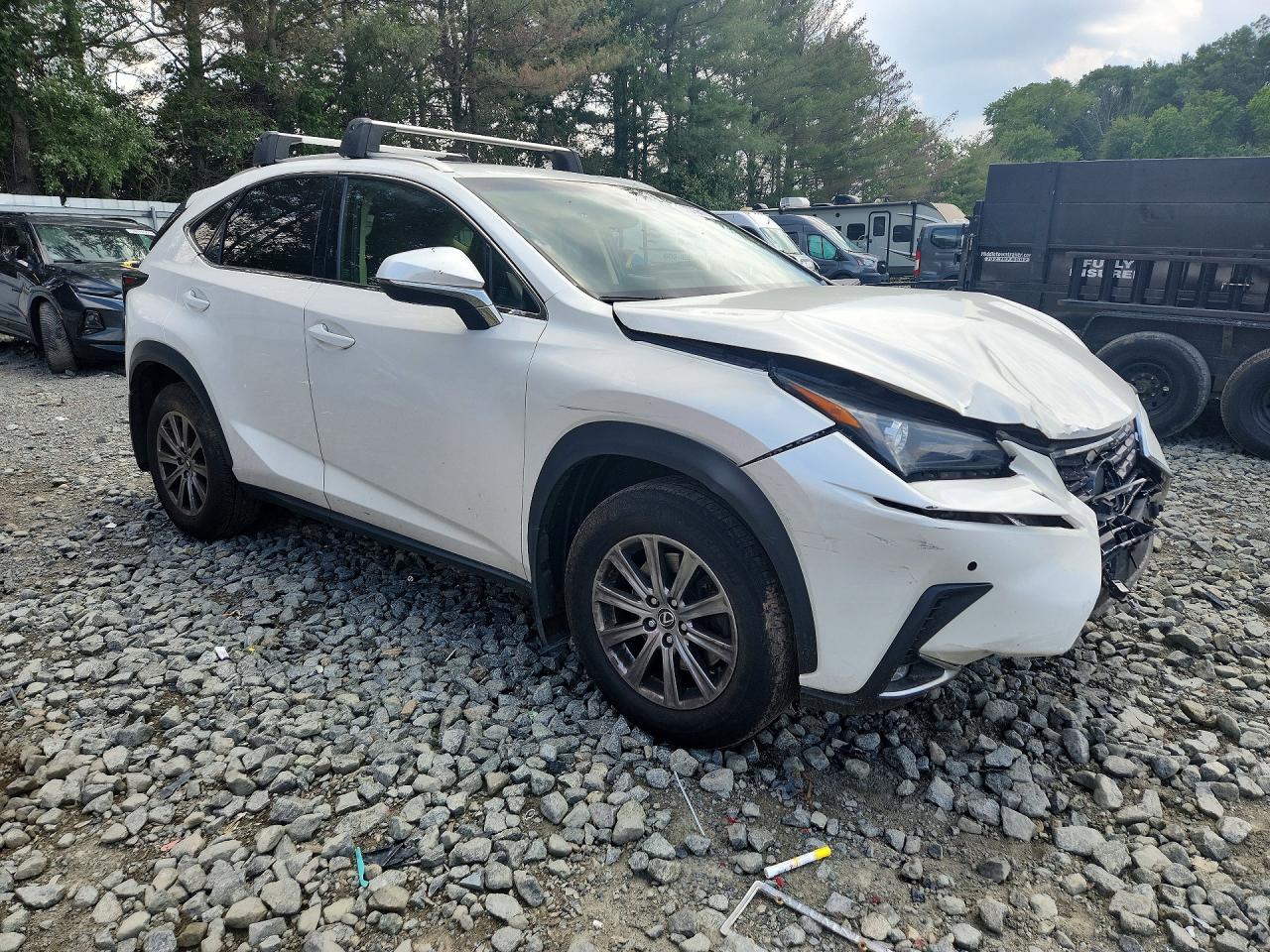 2019 LEXUS NX
