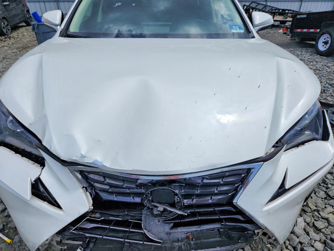 2019 LEXUS NX