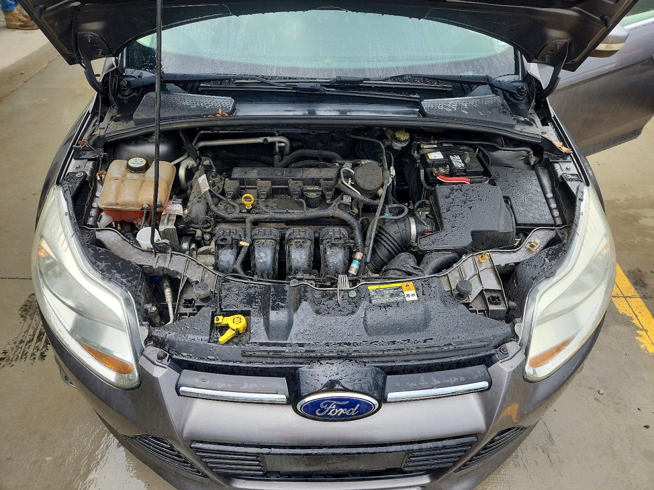 2012 FORD FOCUS