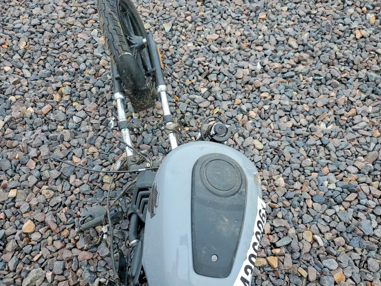 2026 HARLEY DAVIDSON ALL OTHER