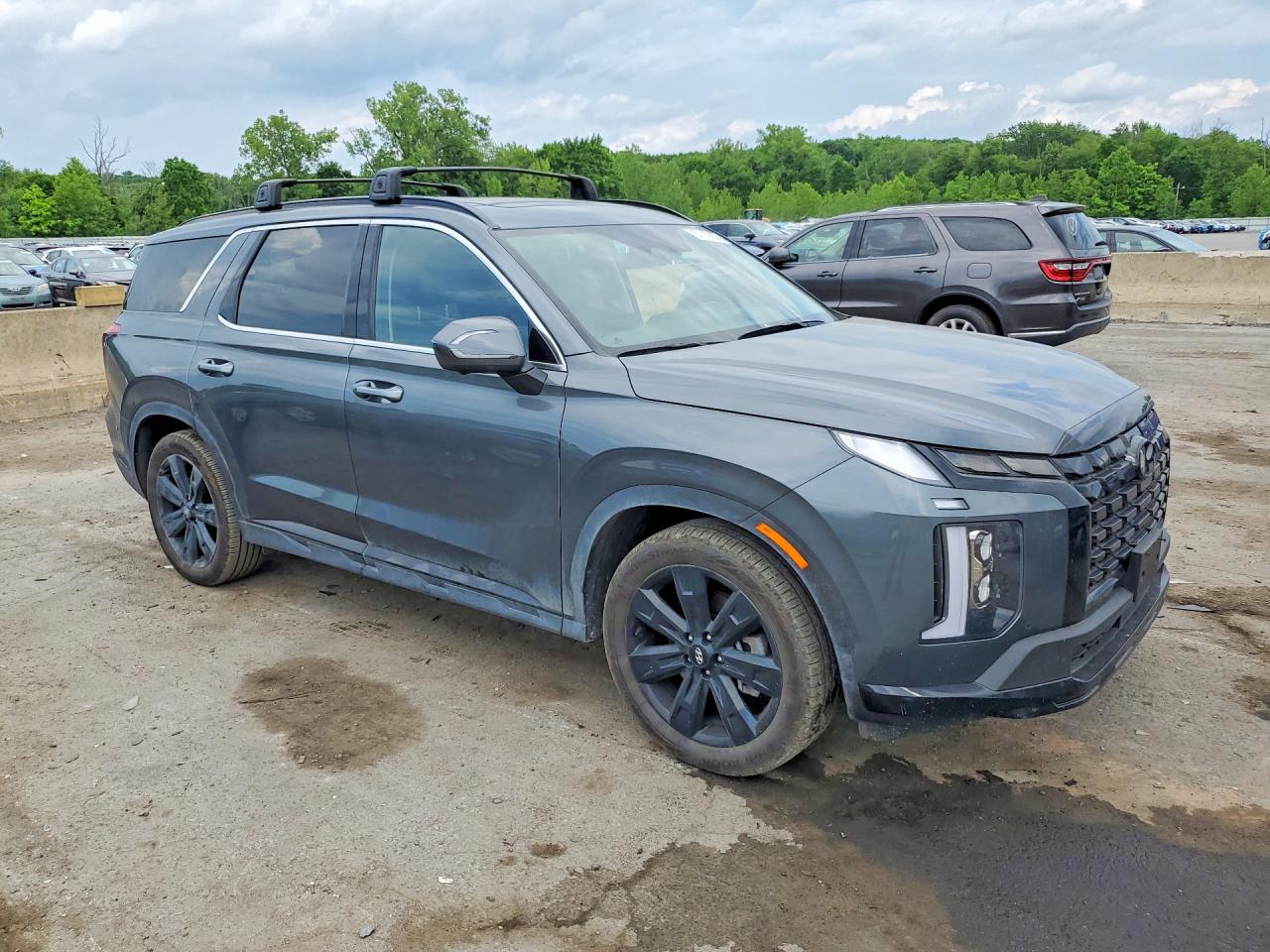 2025 HYUNDAI PALISADE