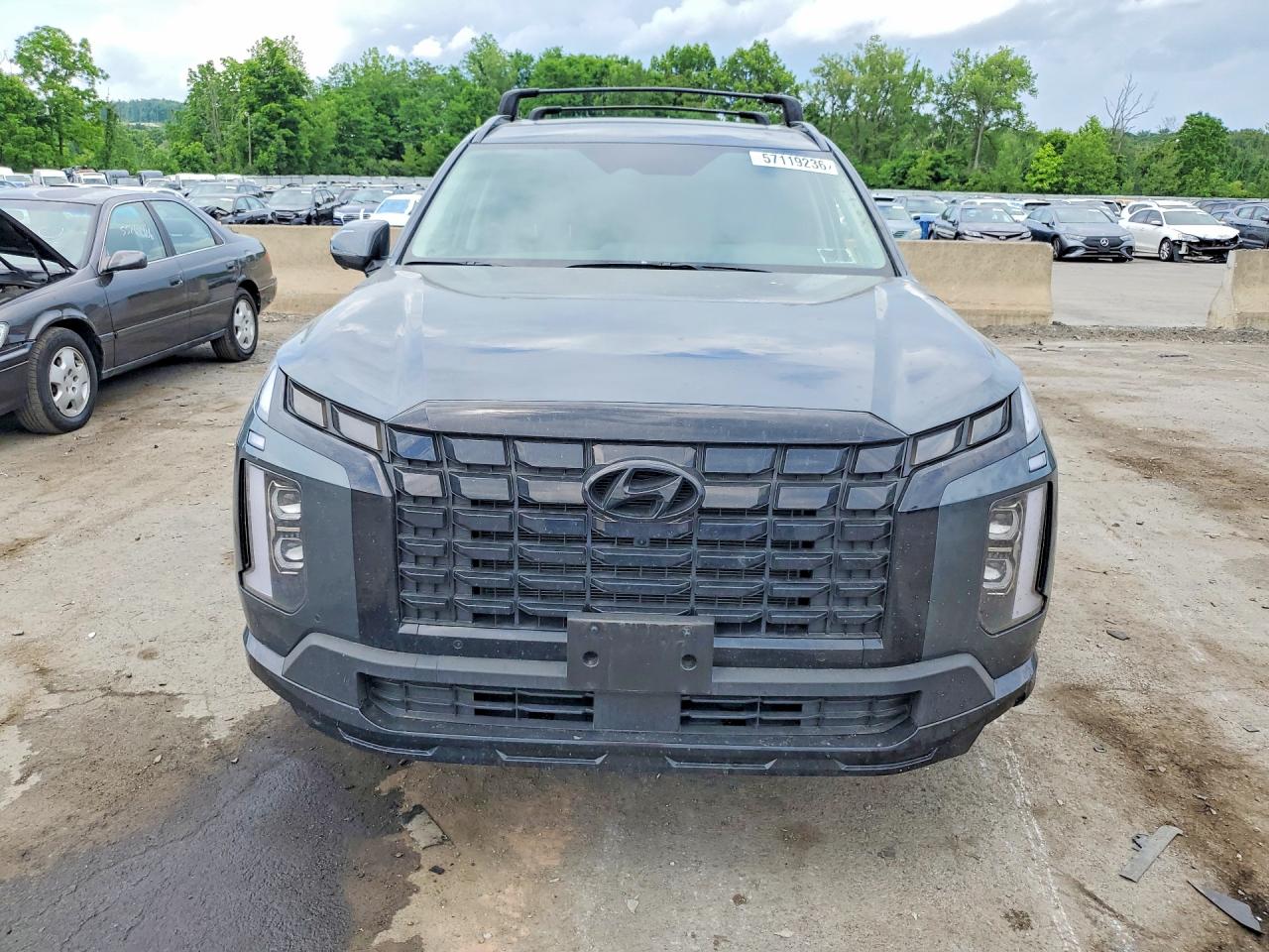2025 HYUNDAI PALISADE