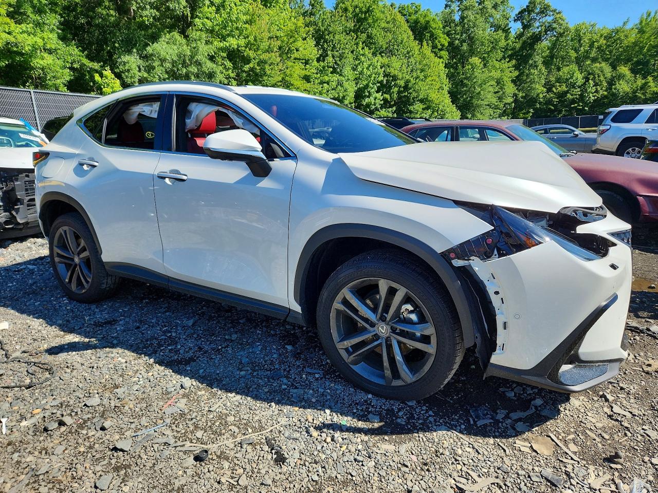 2025 LEXUS NX