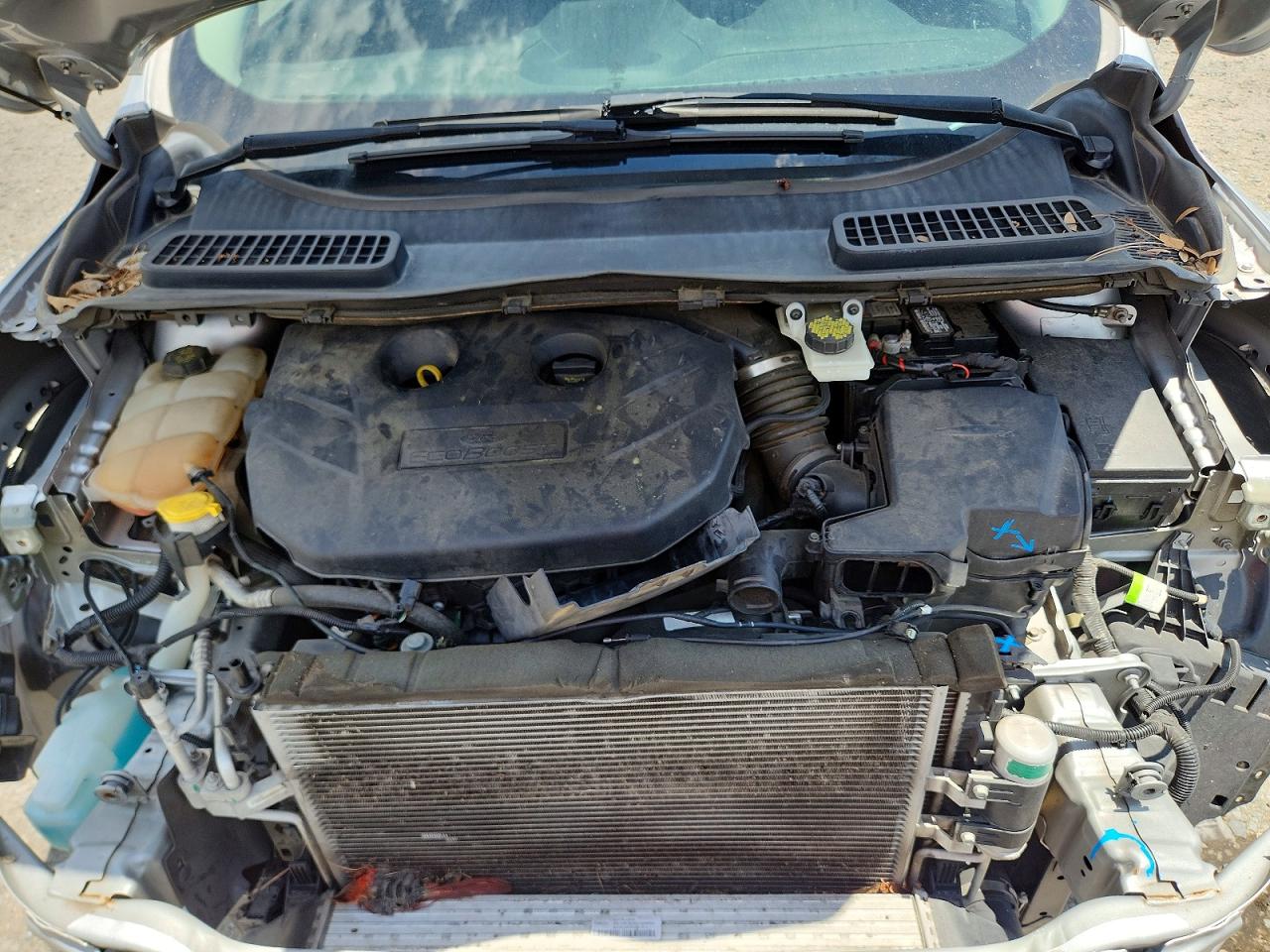 2014 FORD ESCAPE