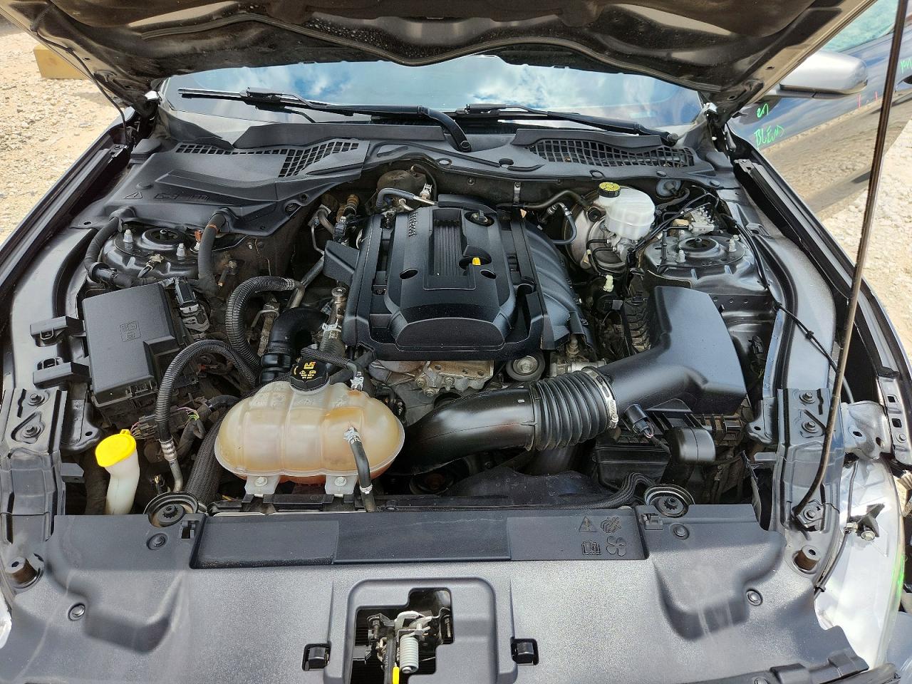 2019 FORD MUSTANG