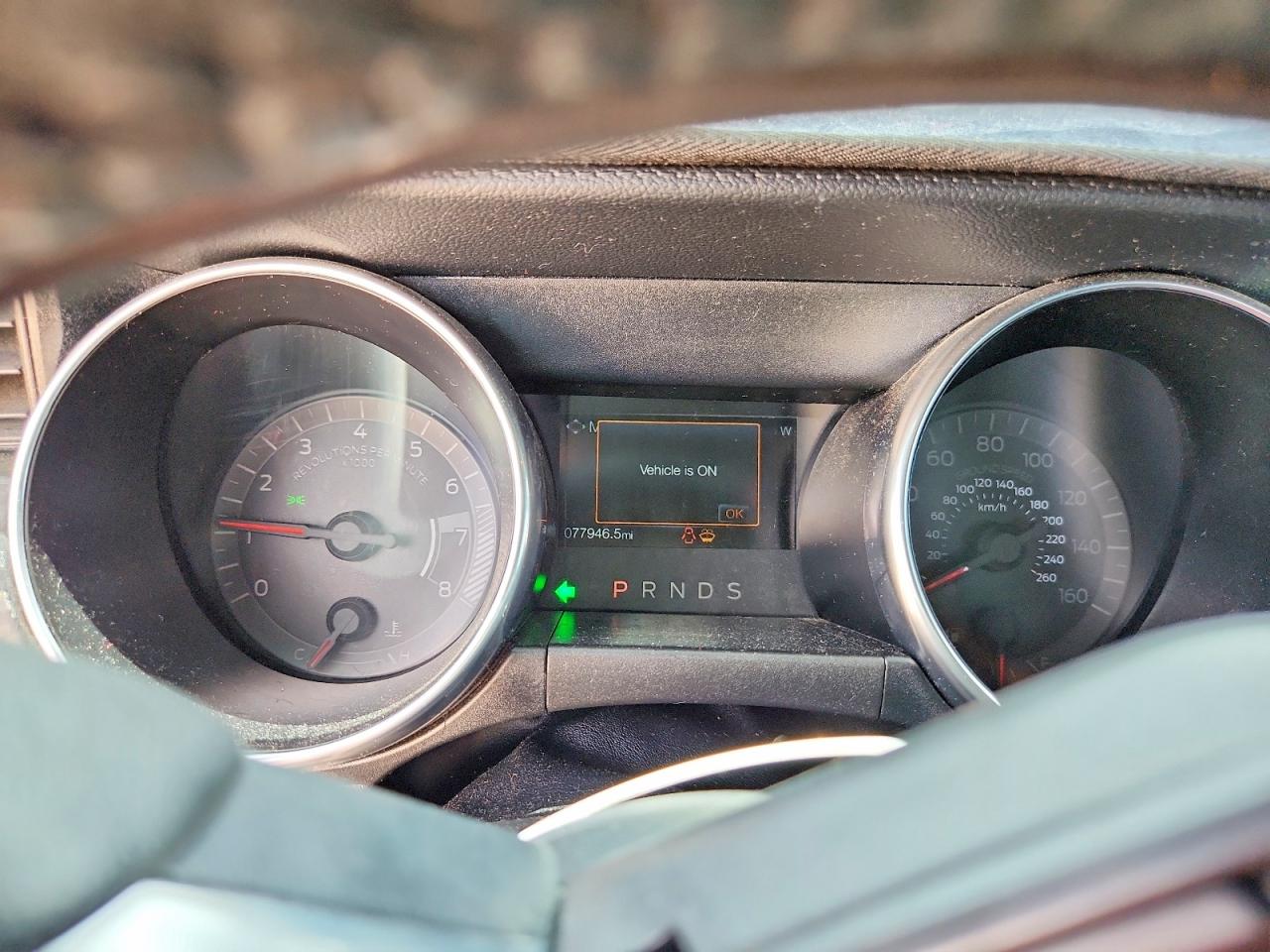 2019 FORD MUSTANG
